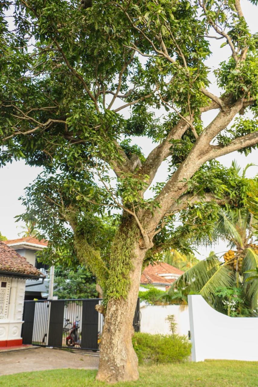 Villa Rosa Blanca Galle Exterior photo